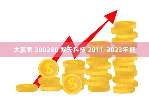 大赢家 300280 紫天科技 2011-2023年报